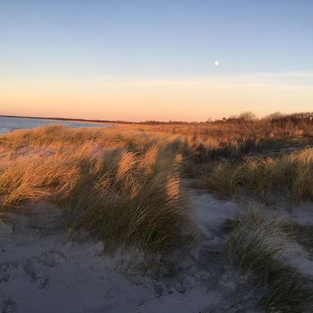 Fewo Sonnenblume Achtern Diek Zingst Exterior photo